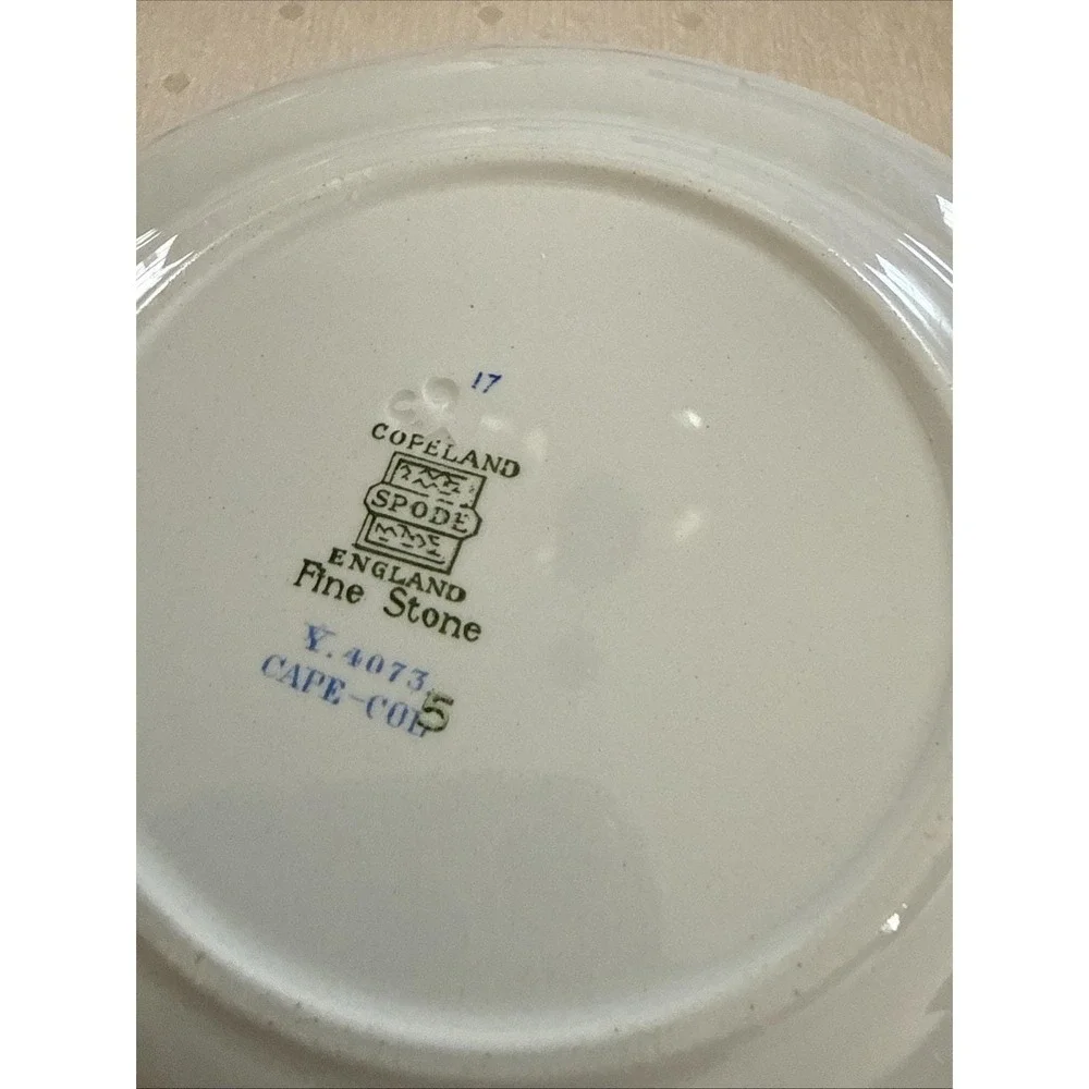 Set Of 6 Rare Copeland Spode Cape Cod Bread Plates 6